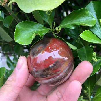 1 бр. Натурален окаменелый дърво изкопаеми Кристална топка Мадагаскар