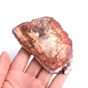 1бр натурална окаменевшая дърво полиран Микросекти ископаемый Crystal парче увеселителен парк минерален образец дърво изкопаеми буца щанд подарък