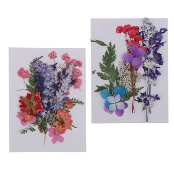 2x няколко пресовани естествени сухоцветов сватбена картичка осъществяване САМ Arts Занаятите