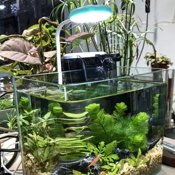 360 градуса мини-led аквариумный аквариум за водни растения расте USB зареждане