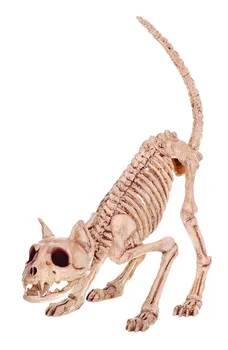 Fantasy Bone Skeleton Cat Animal Lil' Kitty Bonez Skeleton Bones for Horror Halloween Decoration