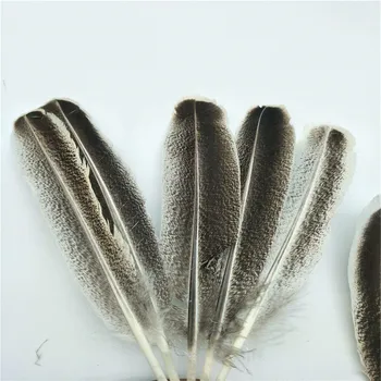 Природни орлиные пера за занаяти за дрехи отстъпка на Едро колекция бижута почистване на енергия пера плюмажи