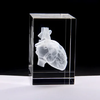 Гравиране на Кристали 3D лазер кубчета дизайн модели анатомирования сърце кристал кристал с детайлни видима система на кръв за сувенири болница