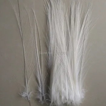 Търговия на едро с високо качество 100шт рядко чисто бяла чапла перо коприна 10-25 см/4-12 см, събрани декоративни аксесоари