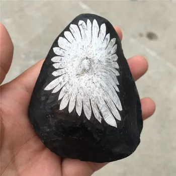 Естествен кварцов кристал хризантема камък минерален образец точка изцеление на домашен интериор