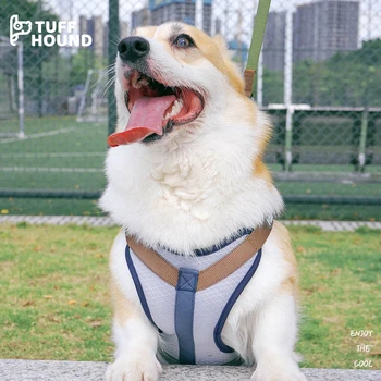 Нова мода дишаща шлейка за домашни кучета летни студени колан за кучета регулируема предпазна каишка за кучета костюми малки средни големи кучета