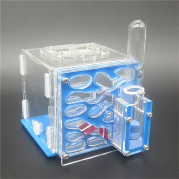 New САМ antgranery moisture with feeding area ant nest ant farm acryl insect ant nests villa пет advanced мания for house ants