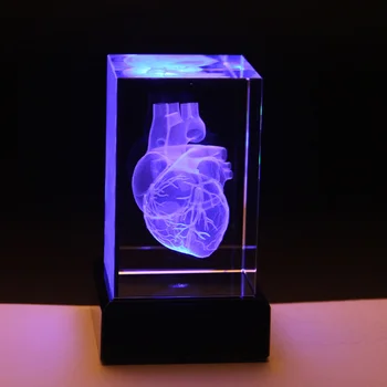 Гравиране на Кристали 3D лазер кубчета дизайн модели анатомирования сърце кристал кристал с детайлни видима система на кръв за сувенири болница