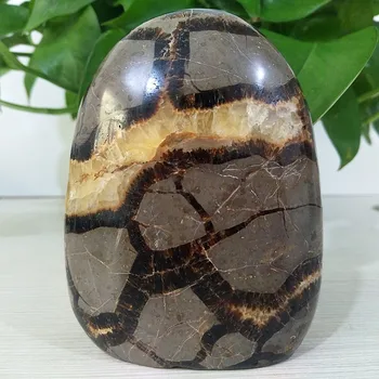 Естествен камък септариум кристали за декорация на дома настолен дисплей исцеляющий Crystal