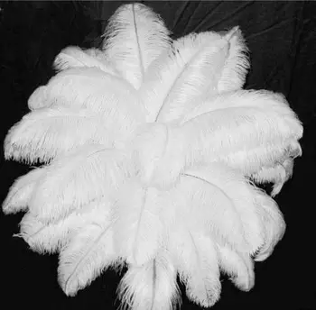Цената на едро е 100 бр. / лот елегантна бяла страусовые пера 15-75 см за занаяти сватбени аксесоари карнавални украси оперения