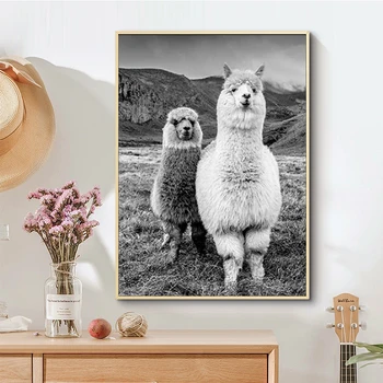 Черно-бели животни Лама алпака плакат платно изкуство живопис плакати и щампи стенни художествени картини за дома (без рамка)